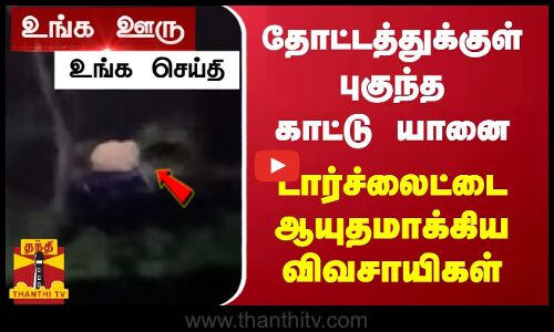 தோட்டத்துக்குள் புகுந்த காட்டு யானை.. டார்ச்லைட்டை ஆயுதமாக்கிய விவசாயிகள் || Oorpakkam