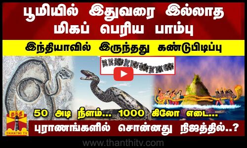 பூமியில் இதுவரை இல்லாத மிகப் பெரிய பாம்பு.. இந்தியாவில் இருந்தது கண்டுபிடிப்பு.. 50 அடி நீளம்...