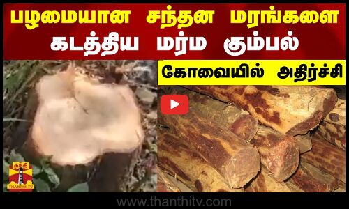 பழமையான சந்தன மரங்களை கடத்திய மர்ம கும்பல்  - கோவையில் அதிர்ச்சி