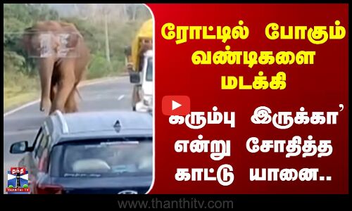 Elephant Viral Video ரோட்டில் போகும் வண்டிகளை மடக்கி  `கரும்பு இருக்கா’ என்று சோதித்த காட்டு யானை..
