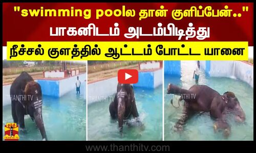 swimming poolல தான் குளிப்பேன்..பாகனிடம் அடம்பிடித்து நீச்சல் குளத்தில் ஆட்டம் போட்ட யானை