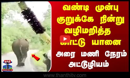 பள்ளி மாணவர்கள் சென்ற வாகனத்தை வழிமறித்த காட்டு யானை...