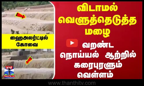 விடாமல் வெளுத்தெடுத்த மழை... நொய்யல் ஆற்றில் கரைபுரளும் வெள்ளம்