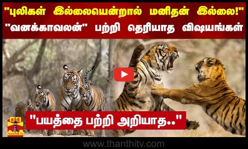 புலிகள் இல்லையென்றால் மனிதன் இல்லை! - வனக்காவலன் பற்றி தெரியாத விஷயங்கள்