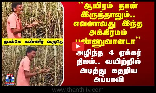 அழிந்த 4 ஏக்கர் நிலம்.. வயிற்றில் அடித்து கதறிய அப்பாவி