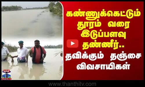TNRain | Thanjavur Farmers | கண்ணுக்கெட்டும் தூரம் வரை இடுப்பளவு தண்ணீர்..தவிக்கும் தஞ்சை விவசாயிகள்