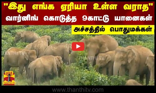 இது எங்க ஏரியா உள்ள வராத..வார்னிங் கொடுத்த 9காட்டு யானைகள்..அச்சத்தில் பொதுமக்கள்