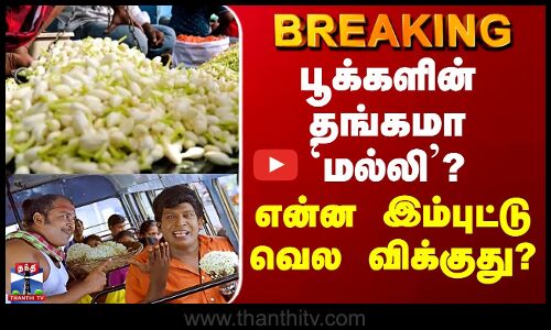 Madurai Malli | Jasmine Price | பூக்களின் தங்கமா `மல்லி’? - என்ன இம்புட்டு வெல விக்குது?