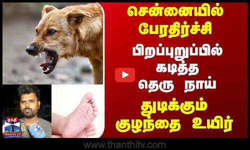 Dog Bite || சென்னையில் பேரதிர்ச்சி பிறப்புறுப்பில் கடித்த தெரு நாய் துடிக்கும் குழந்தை உயிர்