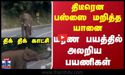 Elephant | BUS | திடீரென பஸ்ஸை மறித்த யானை...மரண பயத்தில் அலறிய  பயணிகள்..திக் திக் காட்சி