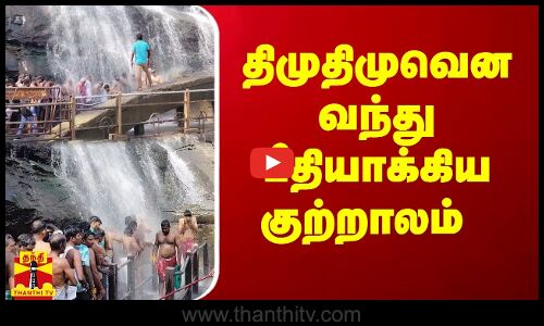 திமுதிமுவென வந்து பீதியாக்கிய குற்றாலம்