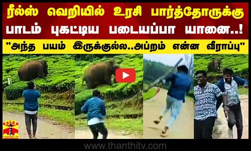 ரீல்ஸ் வெறியில் உரசி பார்த்தவர்களுக்கு பாடம் புகட்டிய படையப்பா யானை.. தீயாய் பரவும் காட்சிகள்