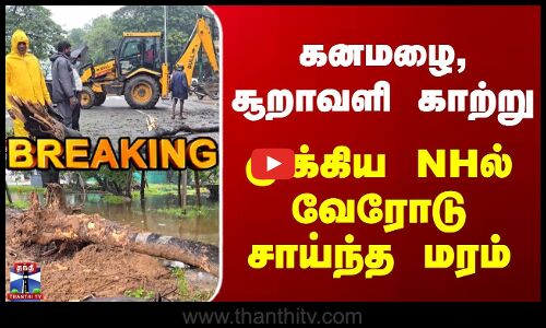 TN Rains | Cyclone Ditwah | Traffic | கனமழை, சூறாவளி காற்று | முக்கிய NHல் வேரோடு சாய்ந்த மரம்