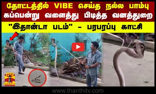 தோட்டத்தில் VIBE செய்த நல்ல பாம்பு  - கப்பென்று வளைத்து பிடித்த வனத்துறை - இதான்டா படம்