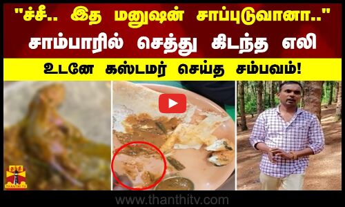 ச்சீ.. இத மனுஷன் சாப்புடுவானா.. சாம்பாரில் செத்து கிடந்த எலி. உடனே கஸ்டமர் செய்த சம்பவம்!