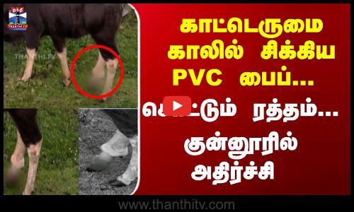 காட்டெருமை காலில்  சிக்கிய PVC பைப்... சொட்டும் ரத்தம்... குன்னூரில் அதிர்ச்சி