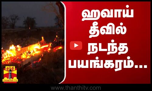 ஹவாய் தீவில் நடந்த பயங்கரம்...