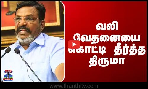 Thirumavalavan Speech | வலி வேதனையை கொட்டி தீர்த்த திருமா