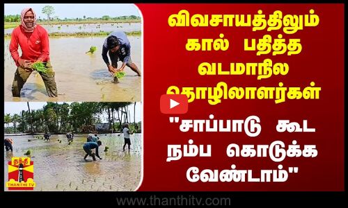 விவசாயத்திலும் கால் பதித்த வடமாநில தொழிலாளர்கள்.. சாப்பாடு கூட நம்ப கொடுக்க வேண்டாம் | Thanthitv