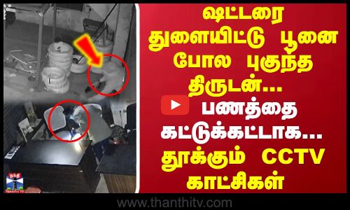 ஷட்டரை துளையிட்டு பூனை போல புகுந்த திருடன்... பணத்தை கட்டுக்கட்டாக.. தூக்கும் CCTV காட்சிகள்
