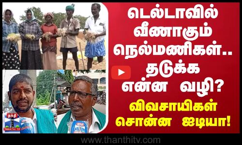 Street Interview | டெல்டாவில் வீணாகும் நெல்மணிகள்.. தடுக்க என்ன வழி?.. விவசாயிகள் ஐடியா!
