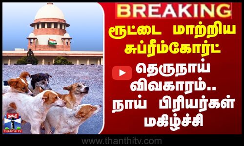 ரூட்டை மாற்றிய சுப்ரீம்கோர்ட் - தெருநாய் விவகாரம்.. நாய் பிரியர்கள் மகிழ்ச்சி