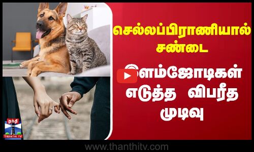 Couples | Pets | செல்லப்பிராணியால் சண்டை - இளம்ஜோடிகள் எடுத்த விபரீத முடிவு