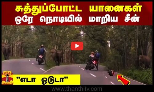 சுத்துப்போட்ட யானைகள் - ஒரே நொடியில் மாறிய சீன் - எடா ஓடுடா