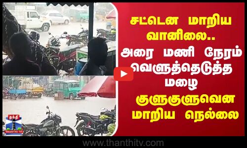 சட்டென மாறிய வானிலை.. வெளுத்தெடுத்த மழை - குளுகுளுவென மாறிய நெல்லை