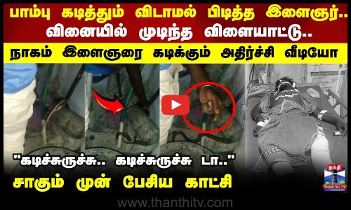 Snake Bite | பாம்பு கடித்தும் விடாமல் பிடித்த இளைஞர்.. வினையில் முடிந்த விளையாட்டு..