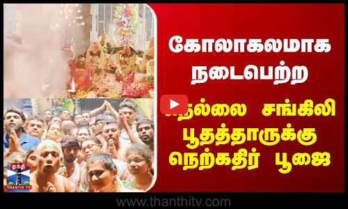 கோலாகலமாக நடைபெற்ற நெல்லை சங்கிலிபூதத்தாருக்கு நெற்கதிர் பூஜை