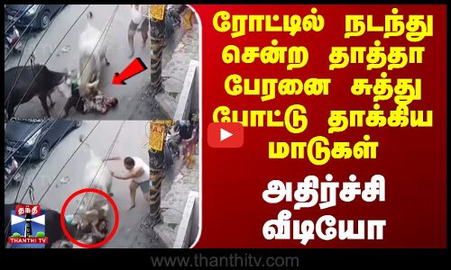 Cow Attack | ரோட்டில் நடந்து சென்ற தாத்தா பேரனை சுத்து போட்டு தாக்கிய மாடுகள் - அதிர்ச்சி வீடியோ