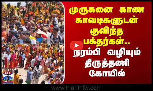 Thiruttani Murugan temple | முருகனை காண காவடிகளுடன் குவிந்த பக்தர்கள்..நிரம்பி வழியும் திருத்தணி