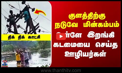 Tenkasi | குளத்திற்கு நடுவே மின்கம்பம் - உள்ளே இறங்கி கடமையை செய்த ஊழியர்கள்