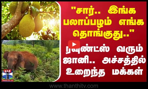 சார் இங்க பலாப்பழம் எங்க தொங்குது ரவுண்ட்ஸ் வரும் ஜானி.. அச்சத்தில் உறைந்த மக்கள்