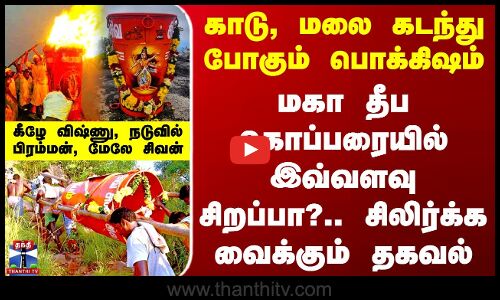 Karthigai Deepam | காடு, மலை கடந்து போகும் பொக்கிஷம் - மகா தீப கொப்பரையில் இவ்வளவு சிறப்பா?