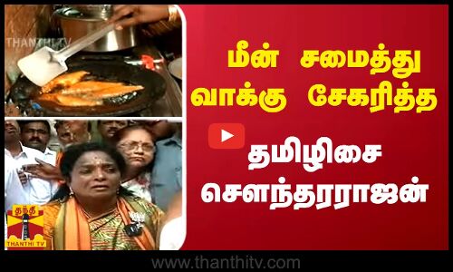 மீன் சமைத்து வாக்கு சேகரித்த தமிழிசை சௌந்தரராஜன்