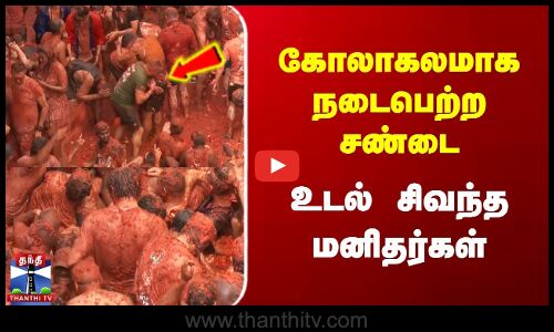 பாரம்பரிய தக்காளி சண்டை திருவிழா கோலாகலம்