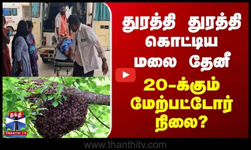 துரத்தி துரத்தி கொட்டிய  மலை தேனீ - 20-க்கும் மேற்பட்டோர் நிலை ?