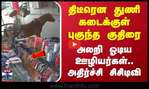 திடீரென துணி கடைக்குள் புகுந்த குதிரை - அலறி ஓடிய ஊழியர்கள்.. அதிர்ச்சி சிசிடிவி