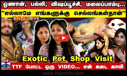 TTF Vasan போட்ட ஒரு VIDEO... என் கடை காலி | Exotic Pet Animals | PYTHON & HAMSTER & SUGAR GLIDER