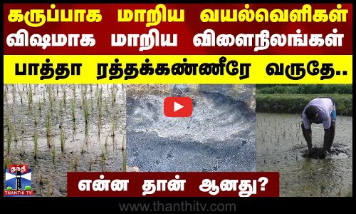 கருப்பாக மாறிய வயல்வெளிகள்.. விஷமாக மாறிய விளைநிலங்கள் - பாத்தா ரத்தக்கண்ணீரே வருதே..