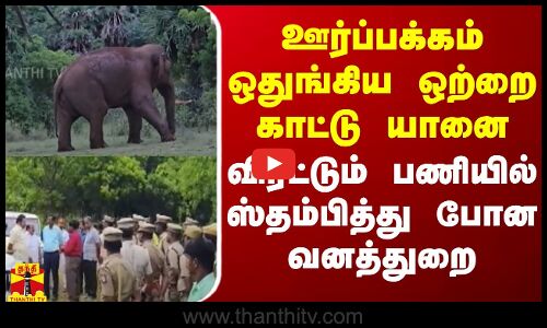 ஊர்ப்பக்கம் ஒதுங்கிய ஒற்றை காட்டு யானை... விரட்டும் பணியில் ஸ்தம்பித்து போன வனத்துறை