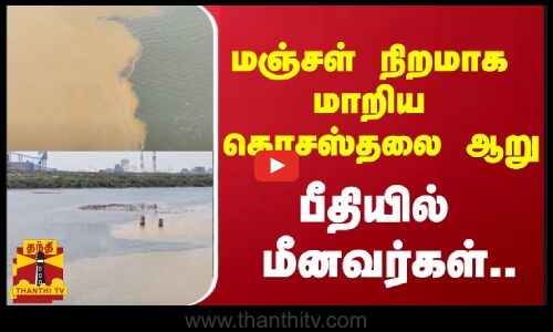மஞ்சள் நிறமாக மாறிய கொசஸ்தலை ஆறு.. - பீதியில் மீனவர்கள் ..