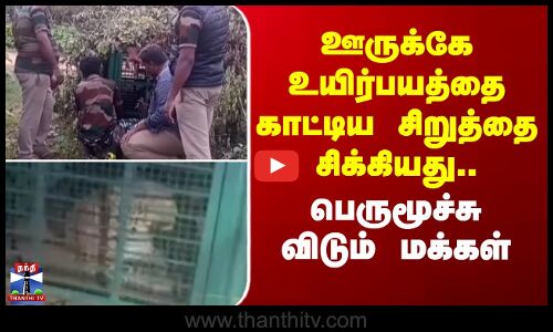 Pollachi Leopard | ஊருக்கே உயிர்பயத்தை காட்டிய சிறுத்தை சிக்கியது.. பெருமூச்சு விடும் மக்கள்