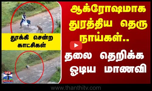 Street Dogs | School Student | ஆக்ரோஷமாக துரத்திய தெரு நாய்கள்.. தலை தெறிக்க ஓடிய மாணவி | Kerala