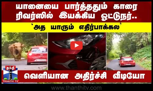 யானையை பார்த்ததும் காரை ரிவர்ஸில் இயக்கிய ஓட்டுநர்.. `அத யாரும் எதிர்பாக்கல - அதிர்ச்சி வீடியோ