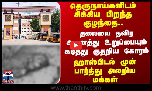 தெருநாய்களிடம் சிக்கிய பிறந்த குழந்தை.. தலையை தவிர அனைத்து உறுப்பையும் தின்ற கோரம்