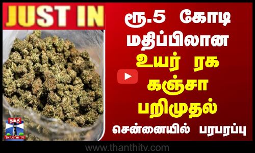 ரூ.5 கோடி மதிப்பிலான உயர் ரக கஞ்சா பறிமுதல்...