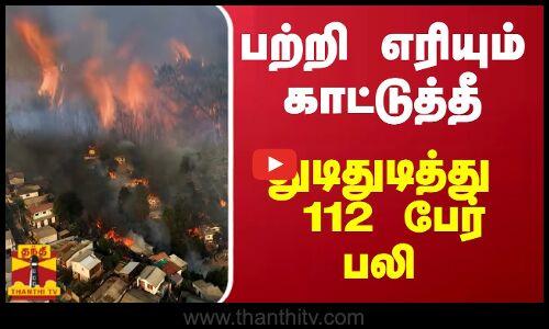 பற்றி எரியும் காட்டுத்தீ - துடிதுடித்து 112 பேர் பலி | Chile